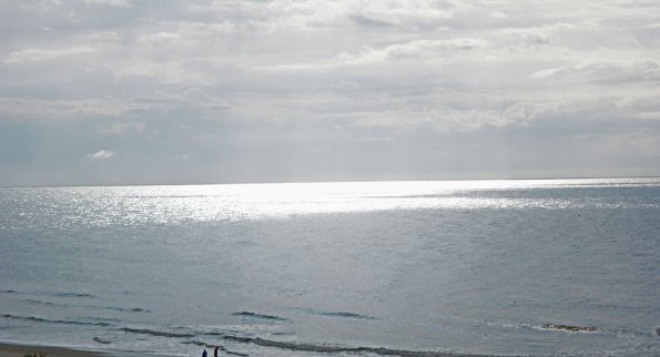 DSC_0551